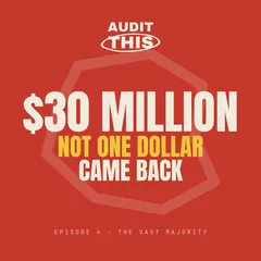 Audit This Episode 4 artwork, The Vast Majority